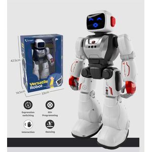 Interactive Robot with Rechargeable Lithium Battery